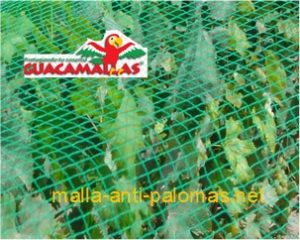 Con la malla anti-palomas sus cultivos crecerán a salvo de las aves que puedan comer o dañar a sus